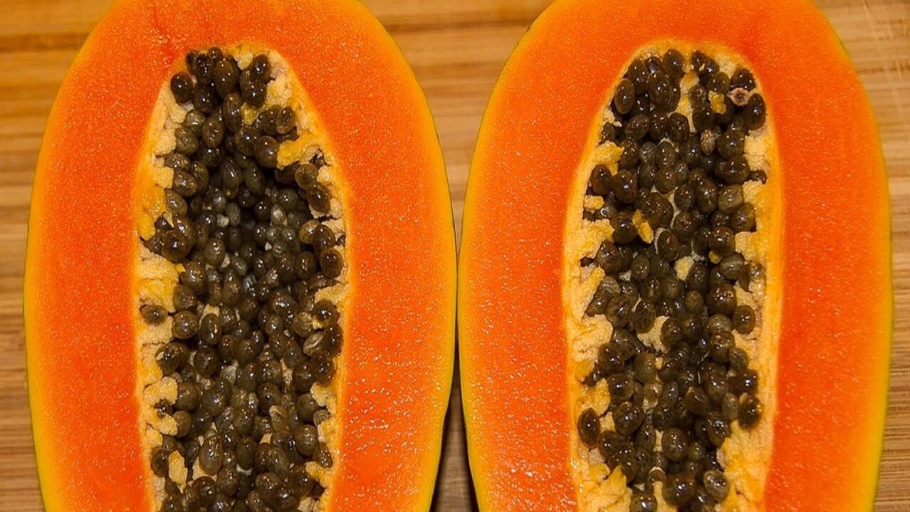 papaya seeds to prepare worms