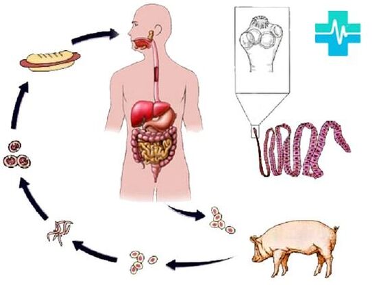 Tractors of infection