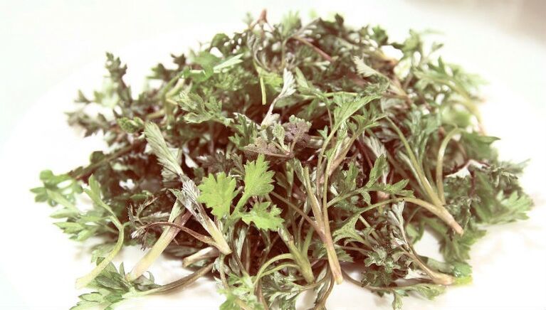 Wormwood from the parasites
